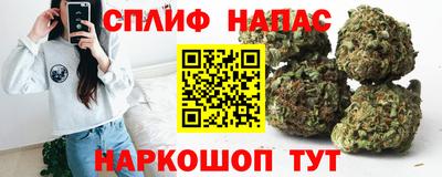 шишки Изобильный