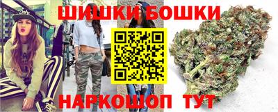 шишки Изобильный