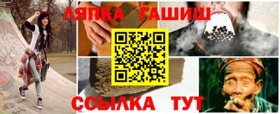 шишки Изобильный