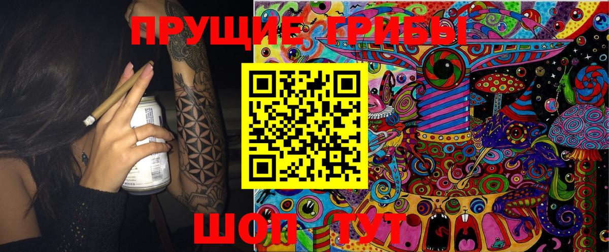 Псилоцибиновые грибы Psilocybine cubensis Минеральные Воды