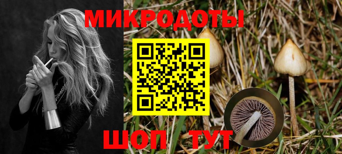 где можно купить   Минеральные Воды  Галлюциногенные грибы Magic Shrooms  Псилоцибиновые грибы мицелий 