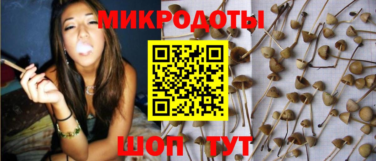 Минеральные Воды  Псилоцибиновые грибы Psilocybine cubensis  Вход с VPN 